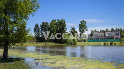 Country Terravista