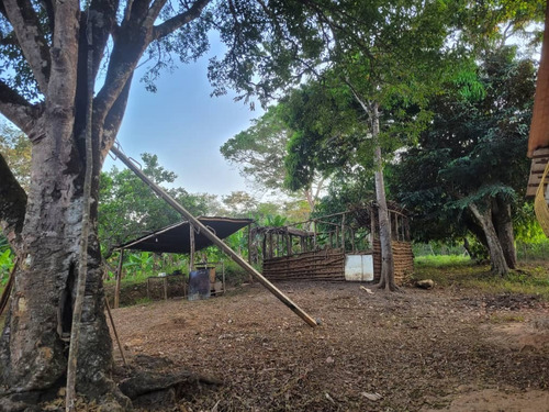 Global Vende Finca De 28 Hectáreas En Urb. Tocuyito Sector La Yaguara (vía Campo Carabobo)