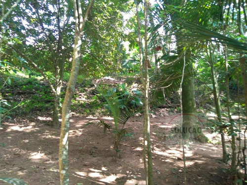 Sítio A Venda No Bairro Quarta Divisão Em Ribeirão Pires - 556-1