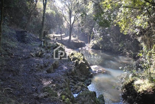 Imagen 8 de 30 de Venta Chacra 96has En Minas, Lavalleja