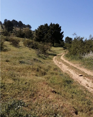 Terreno En Venta En Hacienda De Reñaca - Entorno Natural