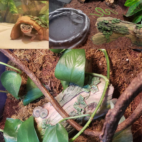 Decoración De Hábitat Para Reptiles Tronco Hueco De Resina