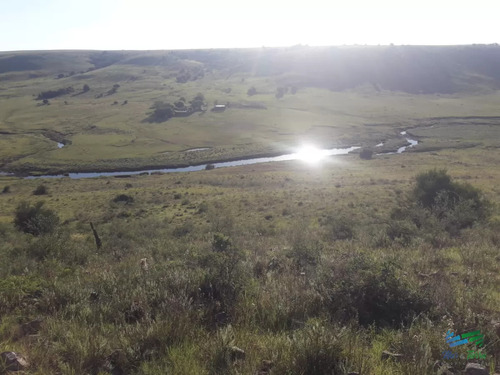 436 Has Campo Ganadero En Salto, Cerca De Rivera.