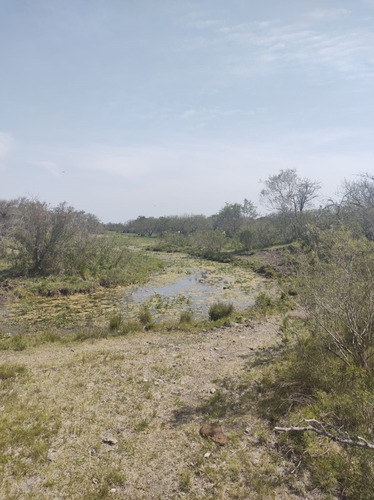 Imagen 3 de 15 de En Venta Chacra Mojones Norte 10.5 Ha