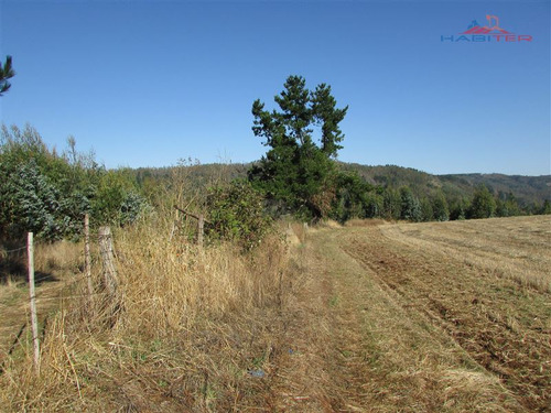 Imagen 3 de 10 de Agrícola En Venta En Traiguén