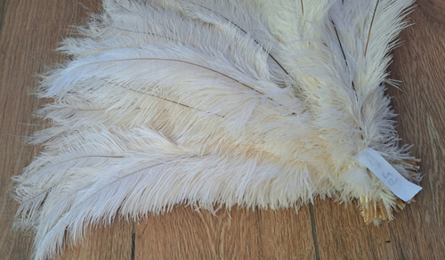 Pluma De Avestruz Blanca El Emporio De Plumas 50 Cm Blanco