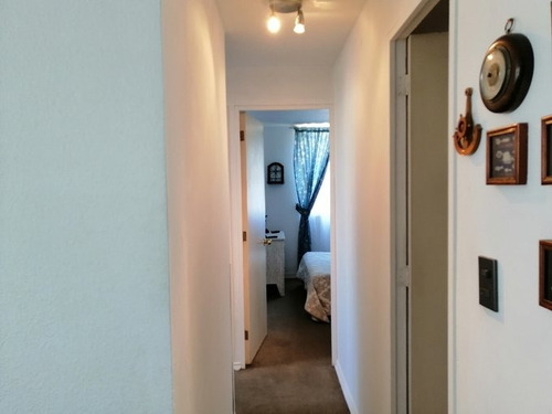 Se Arrienda Comodo Departamento En Isla Picton Viña Del Mar
