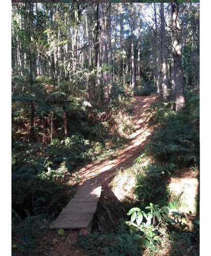 Imagem 4 de 5 de Terreno De 2016 M 2 De 36 De Frente Por 56 De Fundos,