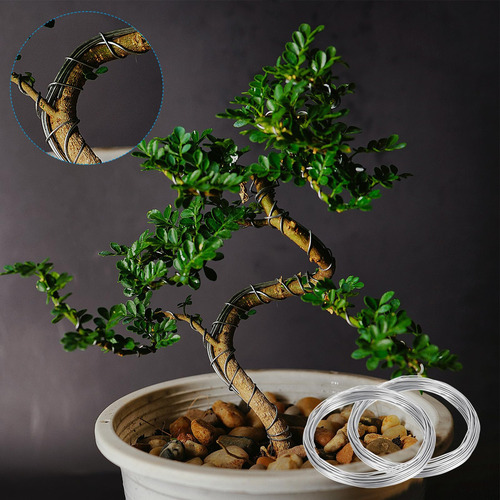 Patikil Alambre De Bonsai 2.5mm X 10m Negro Anodizado