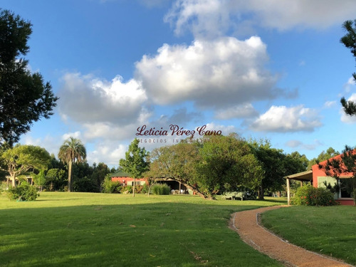 Venta Chacra 8 Has Jose Ignacio - Ref: 19475