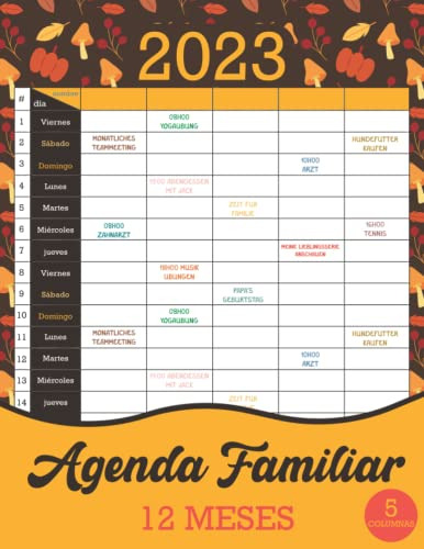 Calendario Familiar 2023 - 12 Meses: Utilice Este Calendario