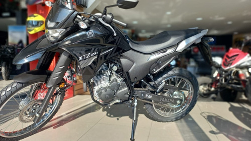 Imagen 7 de 17 de Yamaha Xtz 250 0km Tamburrino Motos Entrega Inmediata