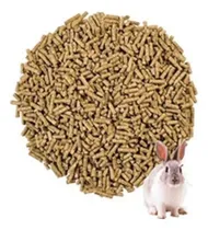 Comprar Alimento Balanceado Para Conejos, Cobayos,hamster Por 5kilos