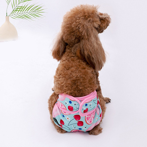 Pantalones Fisiológicos Para Perros, Transpirables Y De Rápi