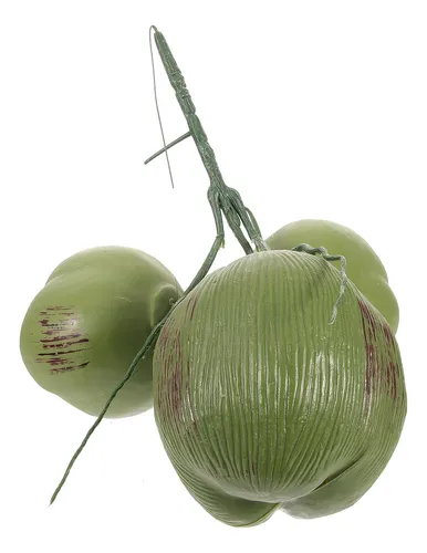 Corona De Coco Artificial Con Fruta Simulada