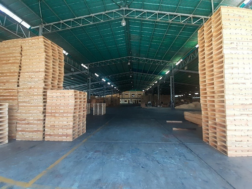 Imagen 22 de 25 de Galpon En Venta Guacara Zona Industrial El Nepe Jc