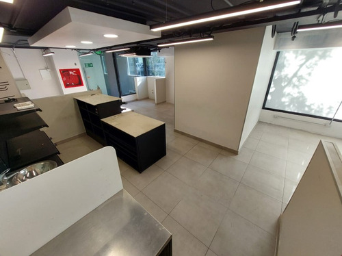 Primeros 3 Meses A Mitad De Precio - Local En Tocornal