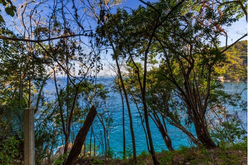 Imagen 2 de 8 de Lot Boca De Tomatlan S/n Trail To Las Animas Frente Al Mar