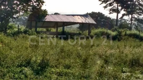 Rancho Agrícola Y Ganadero En Champotón Campeche. 50 Hectareas De Pastizales.
