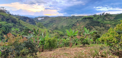 Imagen 17 de 20 de Hermosa Finca Cerca A Pereira