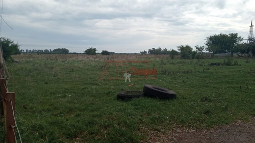 Imagen 9 de 11 de Venta, De Importante Fracción De Campo Sobre Ruta Prov. 54, Partido De Magdalena.