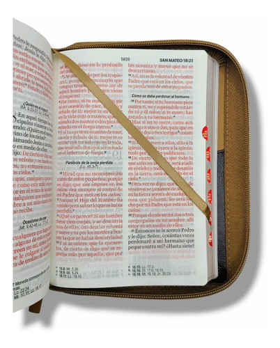 Imagen 9 de 10 de Biblia Juvenil Compacta Letra Grande 11 Pt Aguila Cafe