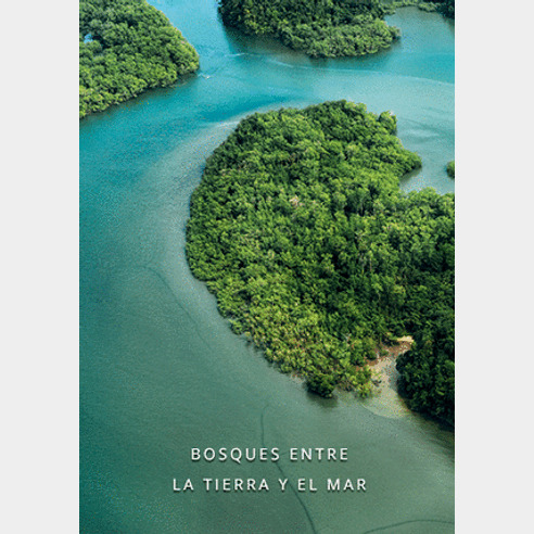 Libro Bosques Entre La Tierra Y El Mar Colombia