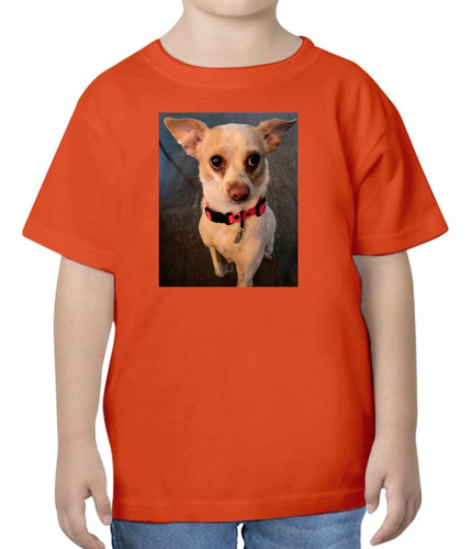 Playera Diseño Perrito Chihuahua - Dog Lover - Perrito