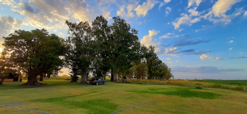Puesto El Pato Casa De Campo Alquiler Temporal San Antonio De Areco