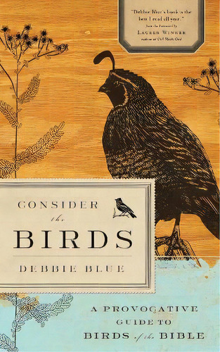 Consider The Birds, De Debbie Blue. Editorial Abingdon Press, Tapa Blanda En Inglés