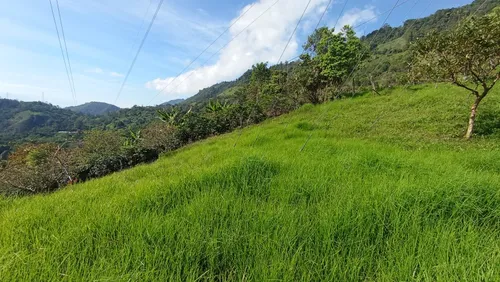 Deja Que El Campo Trabaje Para Ti : Finca En Quipile
