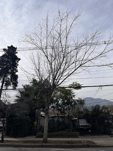 Se Vende Sitio Con Gran Proyección Comercial
