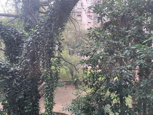 Imagen 26 de 30 de Departamento - Palermo Nuevo