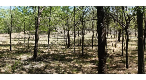 Imagen 1 de 7 de Vendo Terreno 3200m2 En Mirador Del Lago