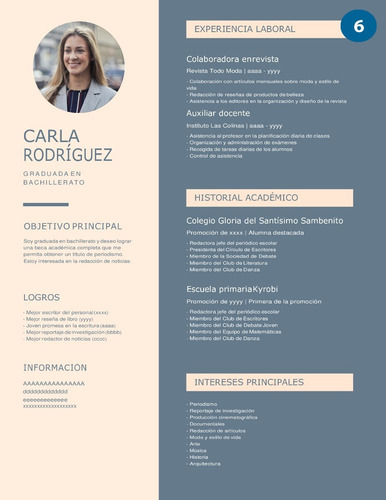 Armado Cv | Curriculum Vitae Personalizado En 24 Horas