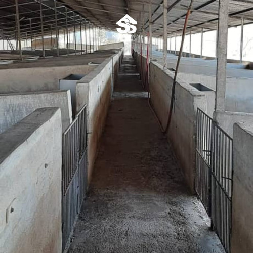 Finca En Venta - Guárico - Granja De Porcina