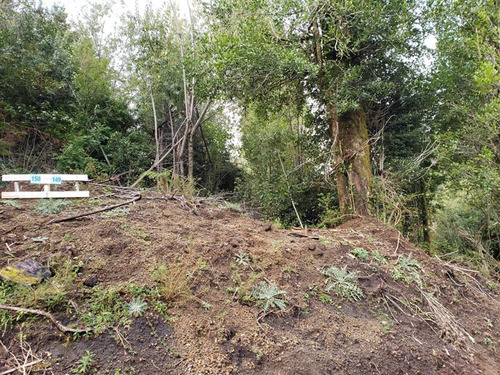 Sitio En Venta En Condom. Petrohué Riverside Puerto Varas