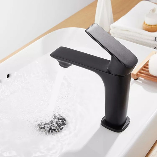 Torneira Banheiro Preto Fosco Inox 304 Monocomando Baixa
