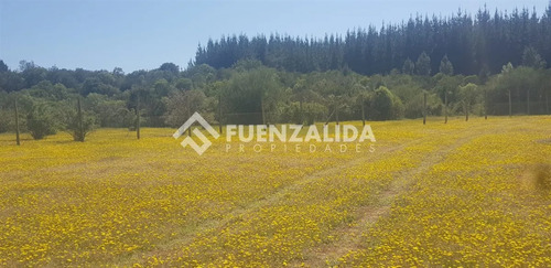 Parcela En Venta En Parral Sector Machicura