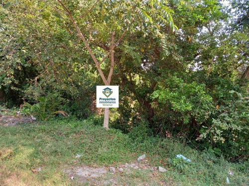Imagen 8 de 8 de Terreno En Venta Playa De Vacas