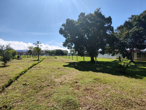 Imagen 6 de 12 de Venta De Lotes En Pérez Zeledón, Calle Foster, Los Chiles