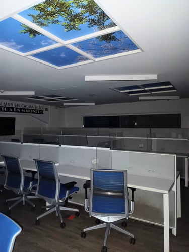 Rento Oficinas Amuebladas 475 M2, Con Varios Privados En Lomas De Chapultepec