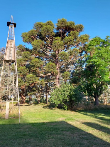 Imagen 4 de 17 de Campo En Venta En Pta Indio