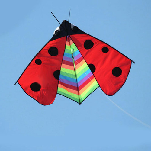 Triangle Ladybug Kite Fly Kite Easy Control Delta Kite Para