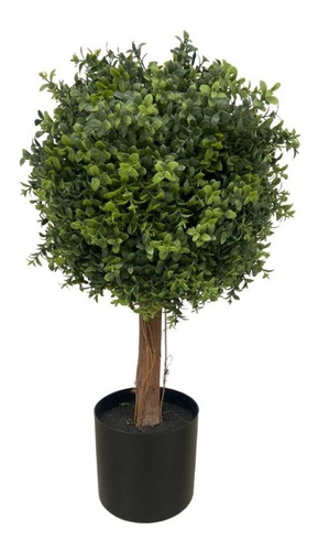 Modelo Boxwood Tree. 65cms De Altura. 3.95kg