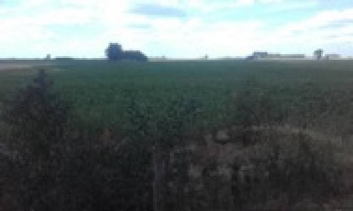 Imagen 7 de 14 de Venta Campo Bragado 160 Has