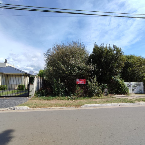 Imagen 4 de 4 de Lote En Ph De 7.50 X 40