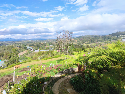 Finca En Guarne Vereda Yolombal