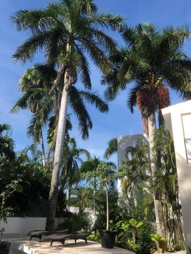 Imagen 3 de 21 de Renta De Casa En Residencial Villa Magna