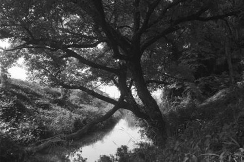 Filtro Infrarrojo Hoya 58 Mm R-72